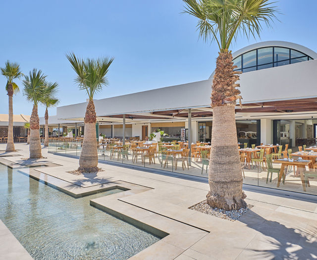 Paralos Kosta Alimia view of the restaurant outdoor sitting area with some palm trees