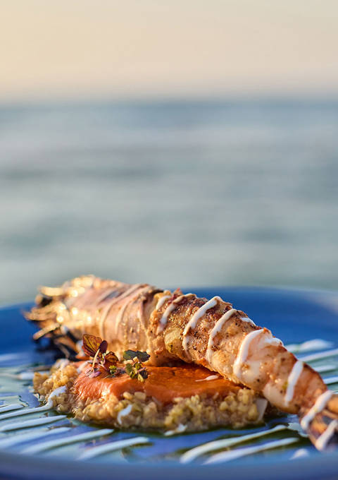 Paralos Kosta Alimia Seafood gastronomy