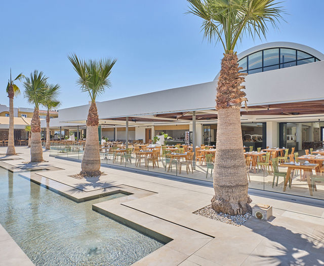 Paralos Kosta Alimia palm trees and a small pool with the restaurant outdoor sitting area in the background